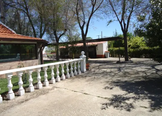 Se vende estupenda finca a pocos metros del nucleo urbano en Manzanares