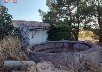 Se vende finca rustica con casa, pozo legalizado, a 3 km de Alcazar de San Juan en Alcázar de San Juan