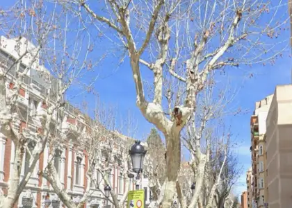 Se vende piso en el corazon de Albacete en Albacete