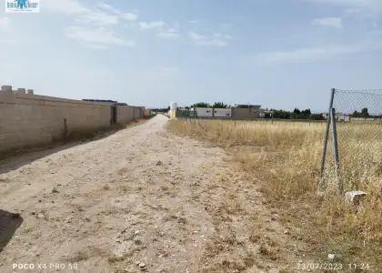Se vende terreno rustico ( zona hoya vacas ) en Albacete