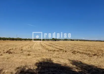 Solar en venta en Cebolla, Toledo en Cebolla