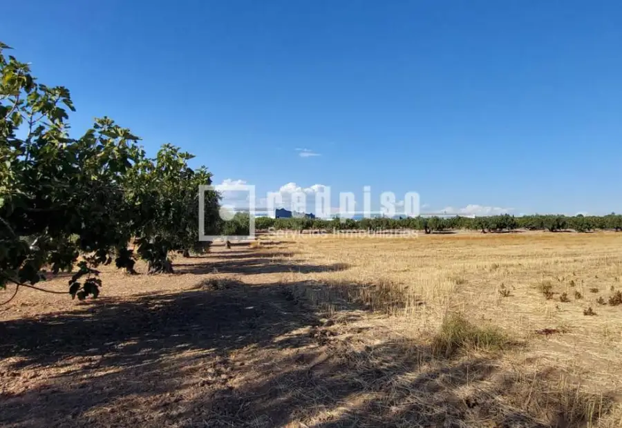 Solar en venta en Cebolla, Toledo en Cebolla
