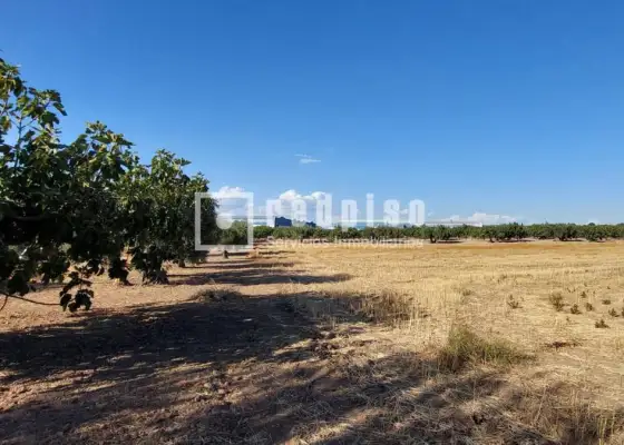 Solar en venta en Cebolla, Toledo en Cebolla