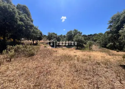Solar en venta en Hontoba, Guadalajara en Hontoba