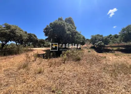 Solar en venta en Hontoba, Guadalajara en Hontoba
