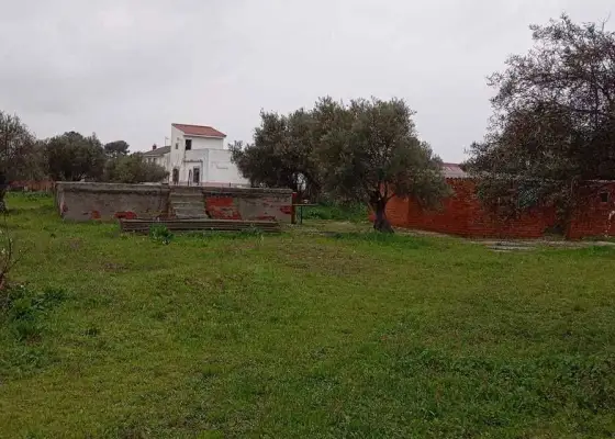 Solar en venta en Numancia de la Sagra, Toledo