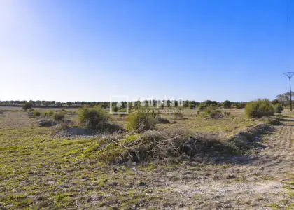 Solar en venta en Seseña, Toledo en Seseña