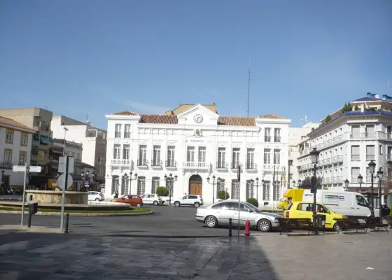 solar zona d. crisanta en Tomelloso