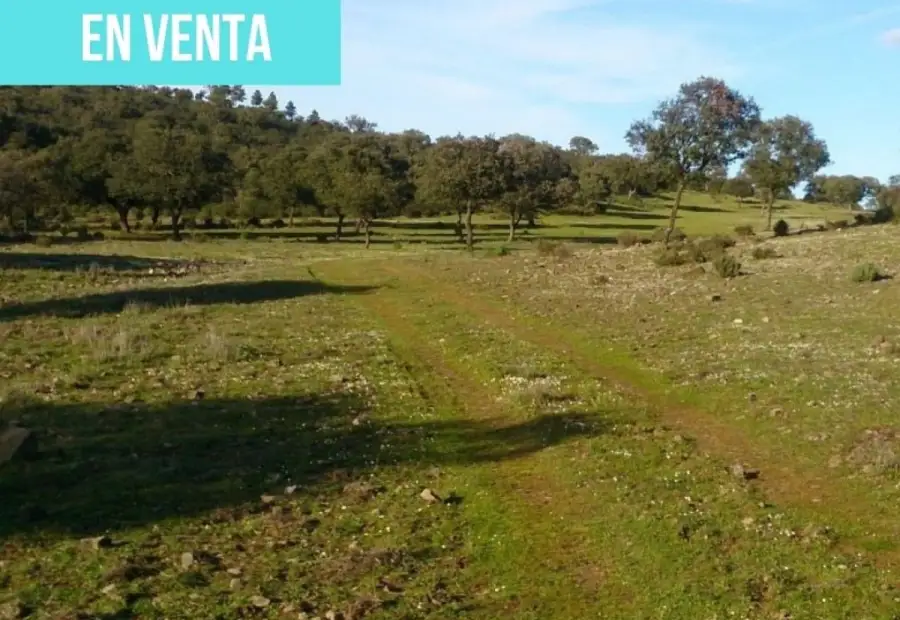 Terreno en venta en finca navapeones s/n en Anchuras