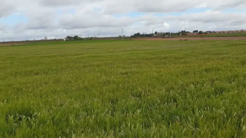 Terreno en venta en Sitio Amelgares 13170, Ciudad Real, Miguelturra en Miguelturra