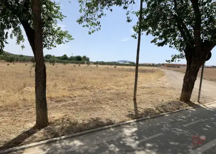 Terreno rural en venta en Herencia, de 6577 m2 por 36.000 €, Ref. 0008 en Herencia
