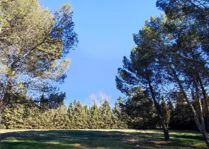 Terreno Rústico en la Poblachuela Ciudad Real. en Ciudad Real