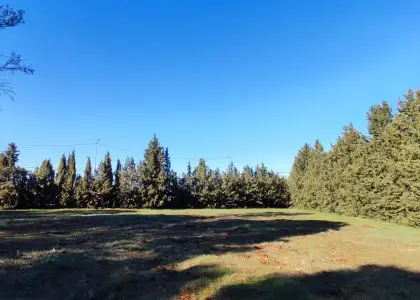 Terreno Rústico en la Poblachuela Ciudad Real. en Ciudad Real