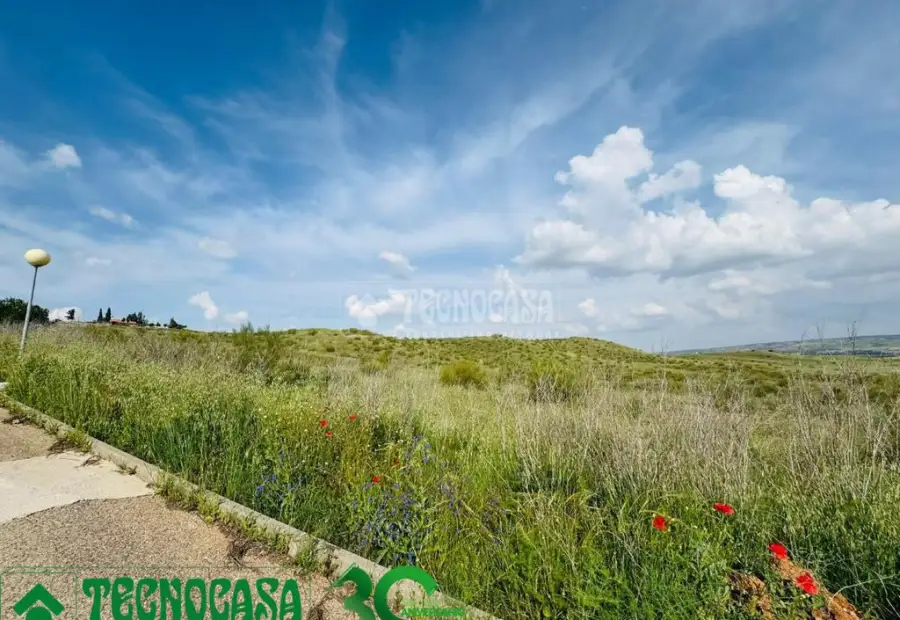 Terrenos en venta en Albarreal De Tajo - Albarreal De Tajo, 19.900 €, 2392 m2, ref. 653440 en Albarreal de Tajo