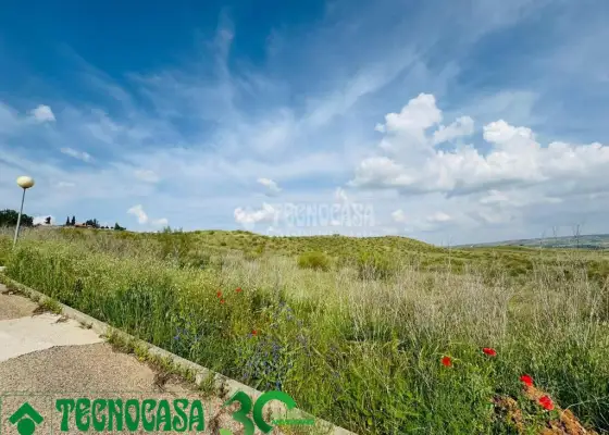 Terrenos en venta en Albarreal De Tajo - Albarreal De Tajo, 19.900 €, 2392 m2, ref. 653440 en Albarreal de Tajo