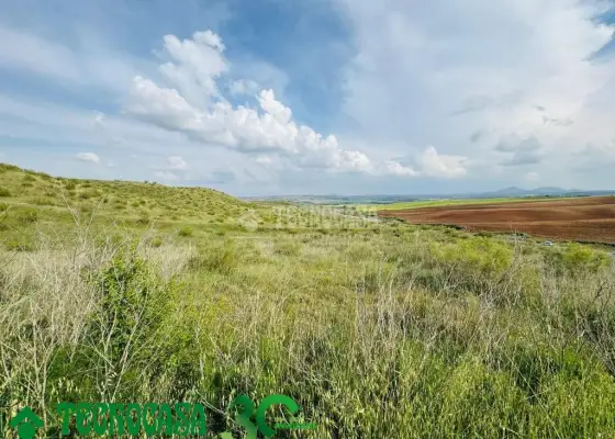 Terrenos en venta en Albarreal De Tajo - Albarreal De Tajo, 24.900 €, 4766 m2, ref. 653449 en Albarreal de Tajo