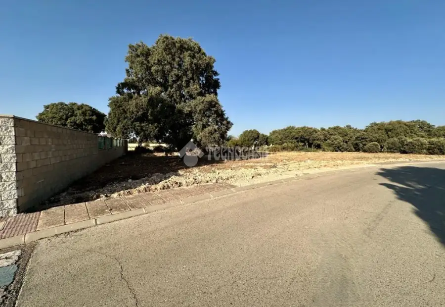 Terrenos en venta en Chiloeches - Chiloeches, 75.000 €, 1229 m2, ref. 667994 en Chiloeches