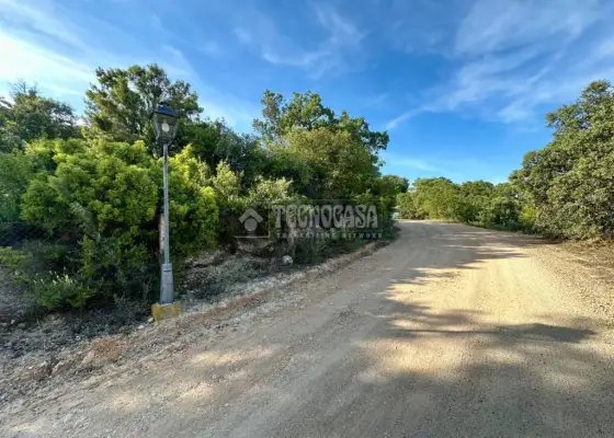 Terrenos en venta en Loranca De Tajuña - Loranca De Tajuña, 55.000 €, 4903 m2, ref. 658900 en Loranca de Tajuña