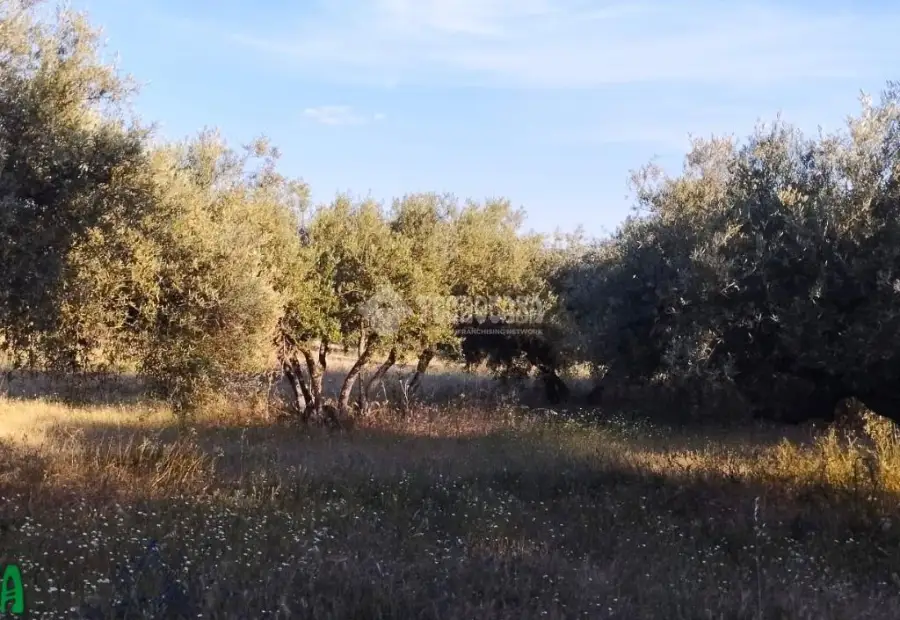 Terrenos en venta en Méntrida - Centro Ciudad, 18.000 €, 3500 m2, ref. 661616 en Méntrida