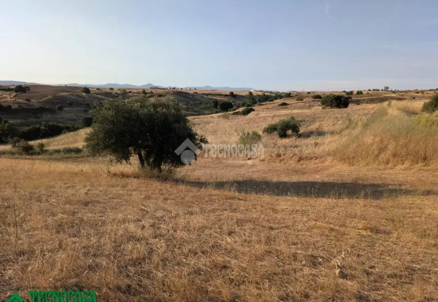 Terrenos en venta en Méntrida - Centro Ciudad, 25.000 €, 3600 m2, ref. 662745 en Méntrida
