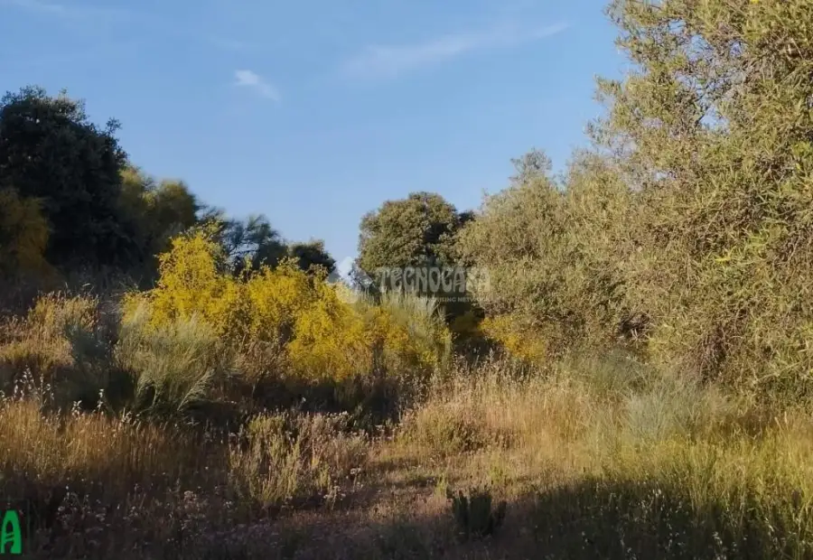 Terrenos en venta en Méntrida - Centro Ciudad, 35.000 €, 20000 m2, ref. 661613 en Méntrida