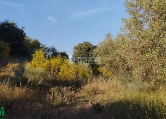 Terrenos en venta en Méntrida - Centro Ciudad, 35.000 €, 20000 m2, ref. 661613 en Méntrida