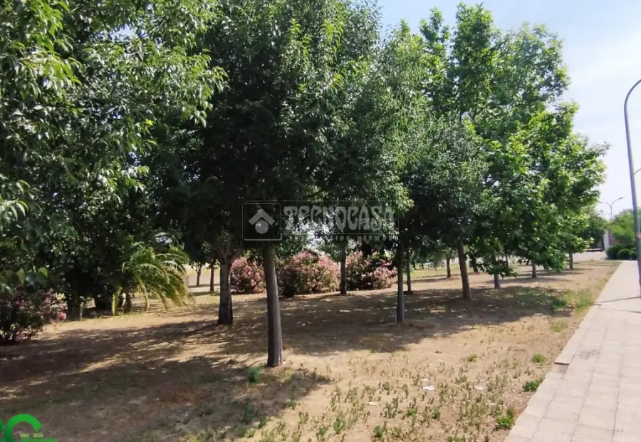 Terrenos en venta en Mora - Mora, 16.000 €, 178 m2, ref. 617062 en Mora