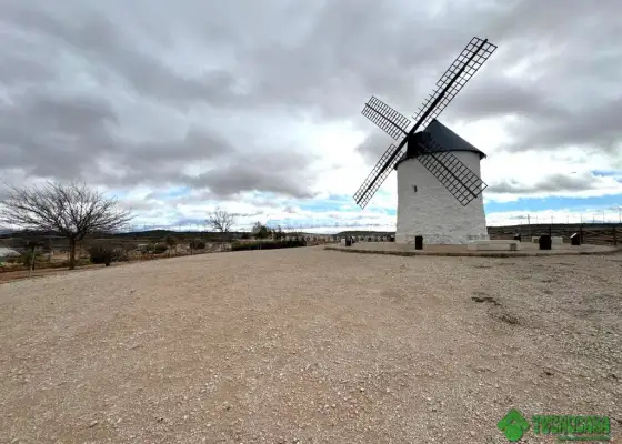 Terrenos en venta en Pozo Cañada - Pozo Cañada, 590.000 €, 9422 m2, ref. 658235 en Pozo Cañada