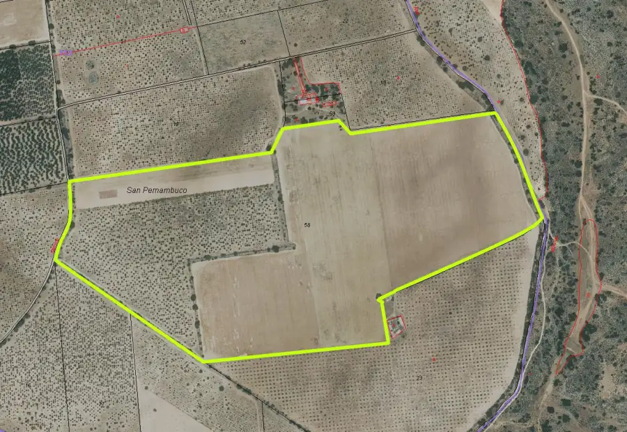 Tierra de Labor en venta en Argamasilla de Alba, 286.520 m² en Argamasilla de Alba