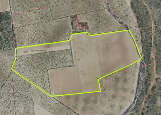 Tierra de Labor en venta en Argamasilla de Alba, 286.520 m² en Argamasilla de Alba
