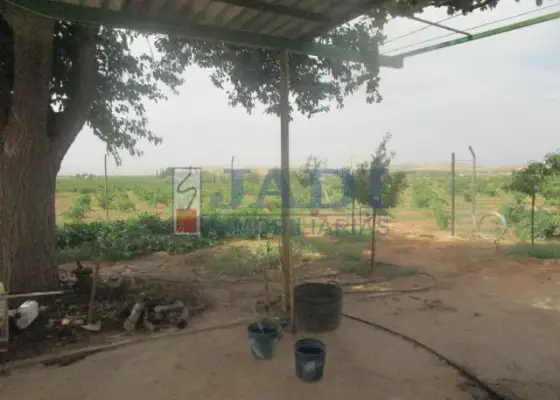 venta de casa en Valdepeñas, CAMPO