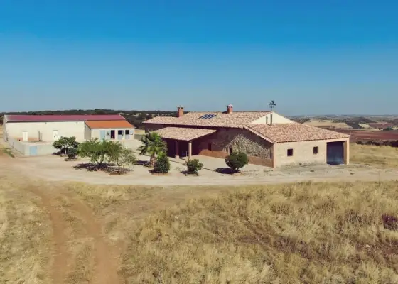 Venta de finca agropecuaria en la provincia de Ciudad Real en Villanueva de los Infantes