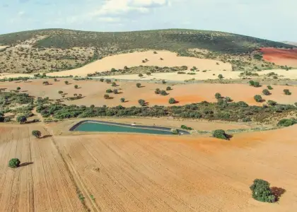 Venta de finca cinegética y agrícola en Ciudad Real en Almuradiel