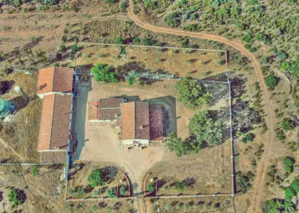 Venta de finca cinegética y agrícola en Ciudad Real en Almuradiel