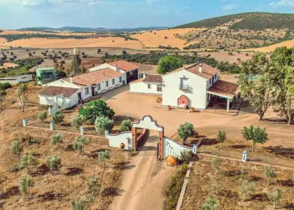 Venta de finca cinegética y agrícola en Ciudad Real en Almuradiel