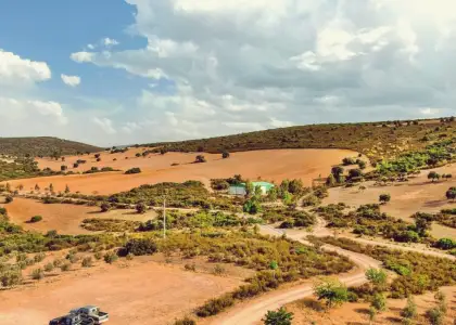 Venta de finca cinegética y agrícola en Ciudad Real en Almuradiel