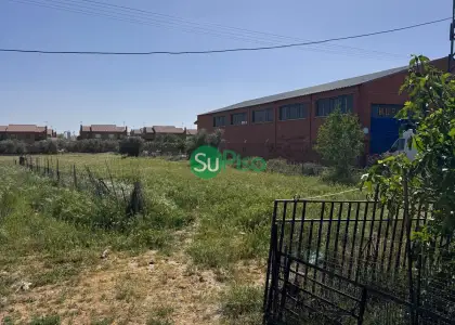 venta de finca rústica en Cedillo del Condado, CEDILLO DEL CONDADO en Cedillo del Condado