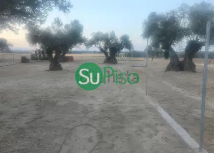 venta de finca rústica en Illescas, VIÑAS PERDIDAS en Illescas
