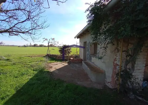 venta de finca rústica en Manzanares, Carretera de villarrubia en Manzanares