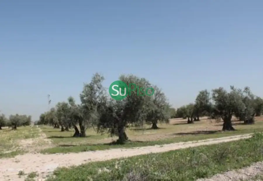 venta de finca rústica en Yeles, yeles en Yeles