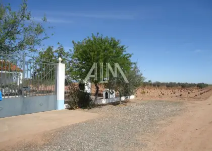Venta de nave industrial de 170 M2 en Poligono de Manzanares en Manzanares