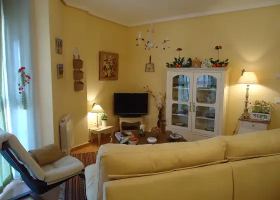 Venta de piso de dos dormitorios y garaje totalmente centrico amueblado con garaje y trastero en Manzanares