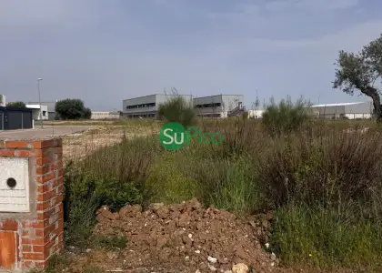 venta de terreno en Yeles, NUEVA en Yeles