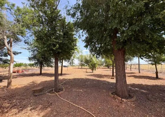 Venta Finca RÃºstica Manzanares, Manzanares