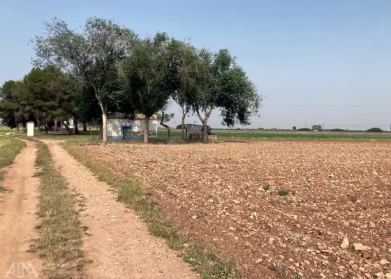 Venta Finca RÃºstica Membrilla, Membrilla en Membrilla