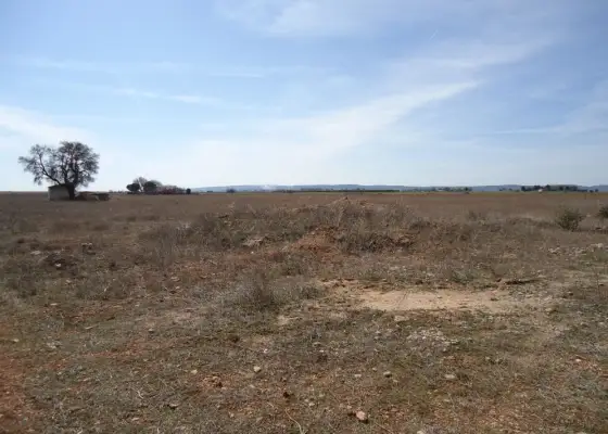 Venta Finca RÃºstica Periferia, Manzanares