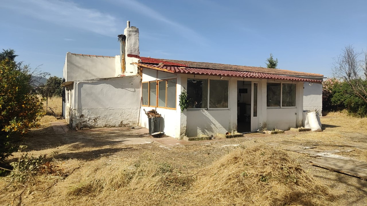CHALET CON PISCINA Y PARCELA EN ALMODÓVAR