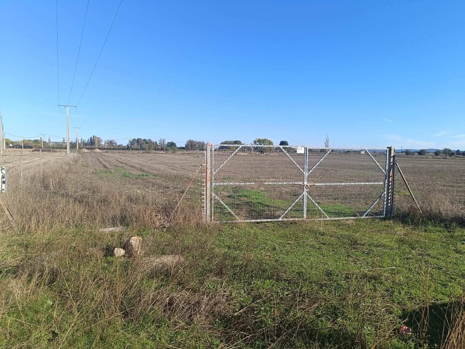 Venta Parcela en Argamasilla de...
