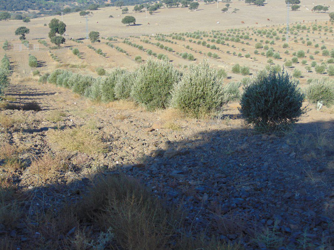 Finca Rústica en Aldeaquemada, Aldequemada