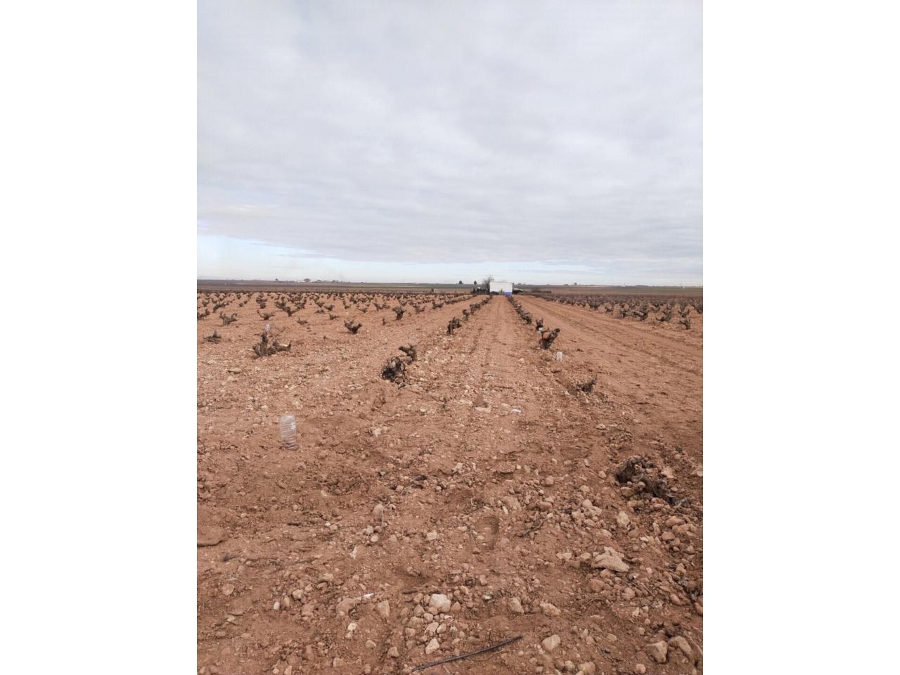 Finca rústica en venta en Manzanares